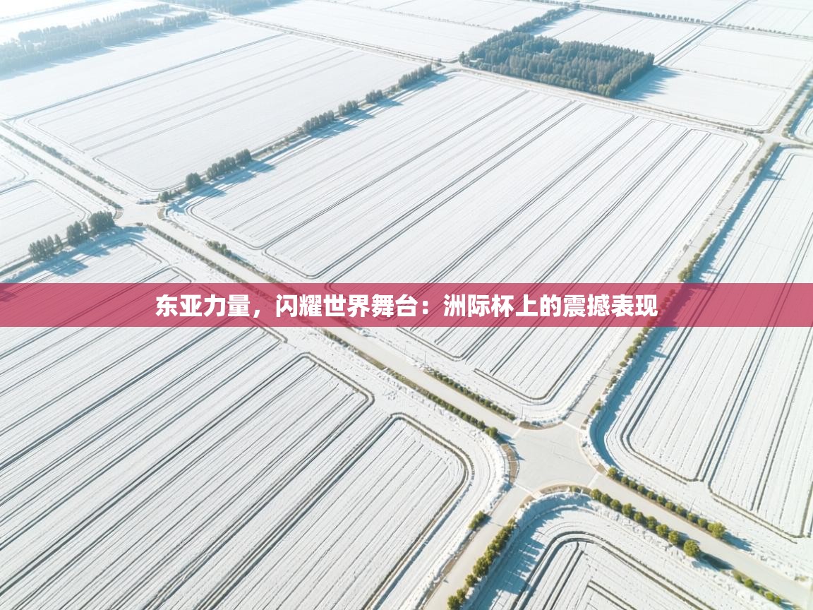 东亚力量，闪耀世界舞台：洲际杯上的震撼表现  第1张